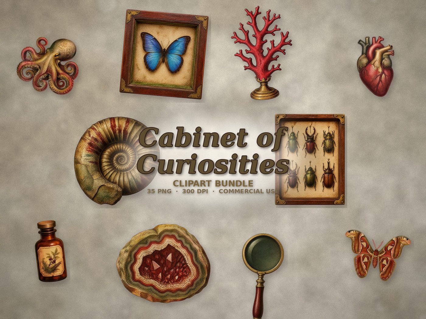 Cabinet of Curiosities — Preview